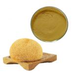Anti Viral 50% Beta D Glucan Organic Lion'S Mane Mushroom Powder