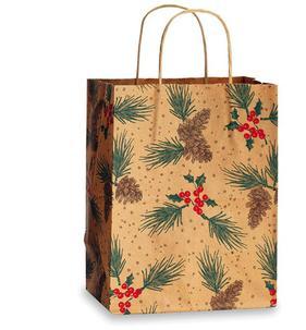 Buy cheap Beautiful Christmas Gift Bags,Paper Bag free shipping from wholesalers