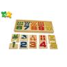 Buy cheap Durable Childrens Kindergarten Learning Toys Pinyin Shape Non Sharp Edge from wholesalers