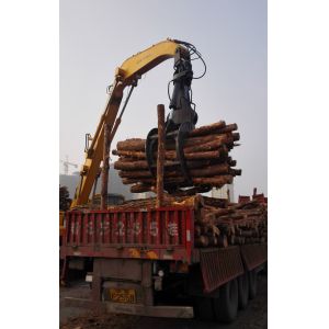 Wholesale Wood Grab Machine WLYS25 Wheeled Material Handler Grab Crane from china suppliers