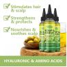 Buy cheap Non-Greasy Relief Tension Olive Hair Scalp Oil Message Repair Promote Growth Scalp Care Treatment Anti-itch Hair Scalp Oil from wholesalers