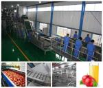 Small Capacity Apple Juice Processing Plant SS304 Material Beverage Processing