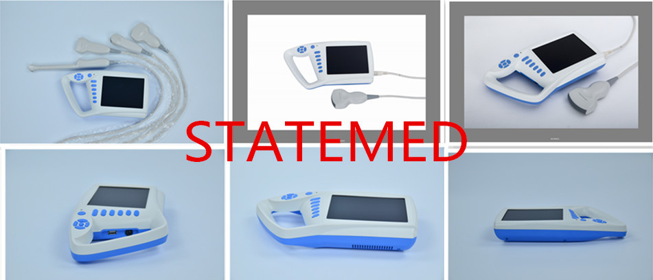 M Mode Portable Veterinary Ultrasound Machine Probe Automatic Identification