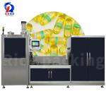 NJY-600c Pharmaceutical Automatic Liquid Hard Capsule Filling Machine Line