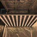RedFarm Commerical DLC Listed 1200 Watt LED Grow Light For Cannabis
