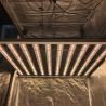 Buy cheap RedFarm Commerical DLC Listed 1200 Watt LED Grow Light For Cannabis from wholesalers