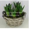 Buy cheap new design home dicorative wicker flower basket willow garden basket plant from wholesalers