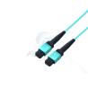 Buy cheap Professional Factory 12 cores Fiber Optic Patchcord OM3 male MPO Fiber Optic Patch cord from wholesalers