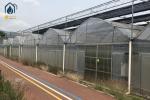 Agricultural Multi Span Strawberry Green House Plastic Shed Tomato Tunnel