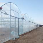 Agriculture Plastic UV Film Poly Tunnel Multi-span Tomato Smart Greenhouse
