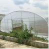 Buy cheap Strawberry Growing Side Ventilation Single Span Greenhouse For Agriculture from wholesalers