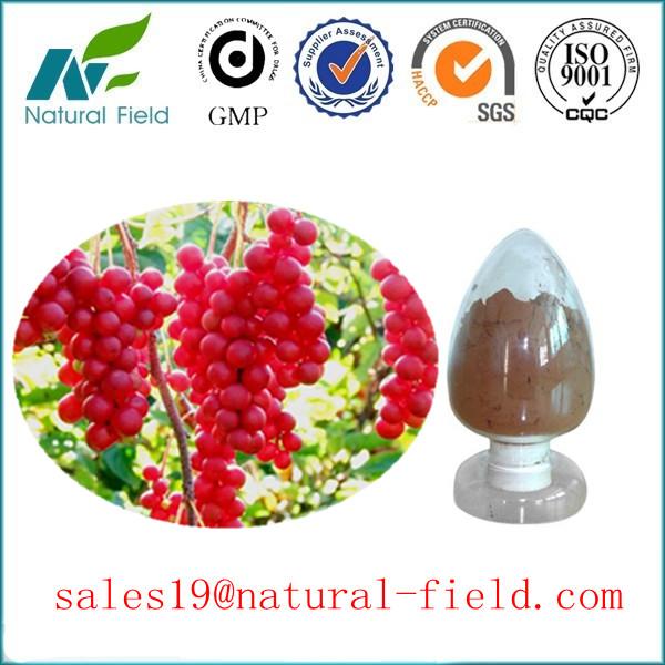 high quality schisandrae chinensis extract with CAS:7432-28-2 GMP manufacturer