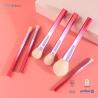 Buy cheap Aluminum Ferrule Face Makeup Brush Set 6PCS Plastic Handle Soft Synthetic Hair from wholesalers
