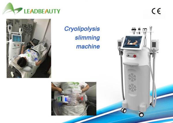 Buy cheap 5 cryo handle body slimming machine professional fat freeze cryolipolysis cavitation vacuum from wholesalers