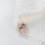 Soft and Cozy Teddy Bear Print Fleece Fabric for Kids Wear 100% Polyester