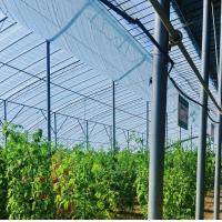 Buy cheap Hydroponics Cultivation Method Single Layer Film Greenhouse for Lettuce/Spinach product