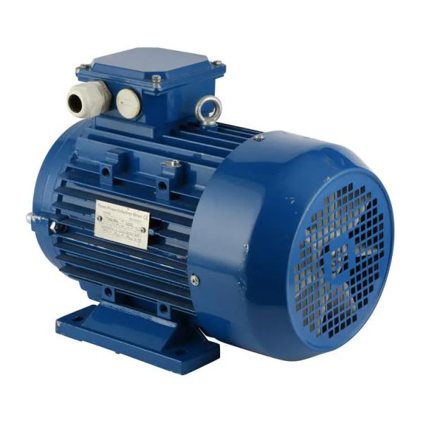 Buy cheap Double Cage Rotor Induction Motor from wholesalers