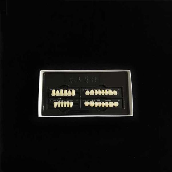 Buy cheap Acrylic Synthetic Polymer Resin Teeth Two Layers Dental Composite False Teeth from wholesalers