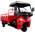 Rear Spring Leafs 5 2 Motorized Lift Cargo Tricycle in Egypt with Zongshen 250cc