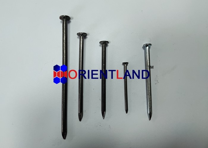 2" Common Nails Electric Galvanized Common Nails 1inch-6inch Length