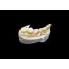 Buy cheap High-Hardness Aesthetic Zirconia Dental Crown with Translucency and Chipping Resistance from China dental Lab from wholesalers