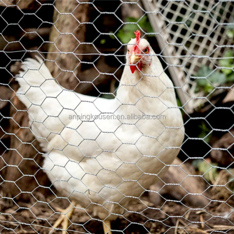 1.2m Height Livestock Hinge Joint Knot Veld Span Galvanized Wire Fence for Poultry