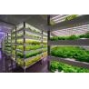 Buy cheap Hydroponic Shipping Container Greenhouse for Leafy Vegetables Affordable Shipping Cost from wholesalers