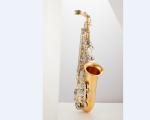 JYSS-A600 Soprano Saxophone Bass Saxophone, brass wind musical instrument Brass: