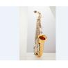 Buy cheap High Quality Eb Tone Alto Saxophone From China mark tenor saxophone professional model China Saxophone - High Quality from wholesalers