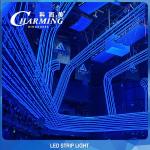 Outdoor 14.4W RGB LED Strip Light DC12V IP68 Weather Resistant