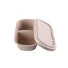 Buy cheap Sugarcane Bagasse Food Container Lunch Food Bagasse Take Out Refrigerator from wholesalers