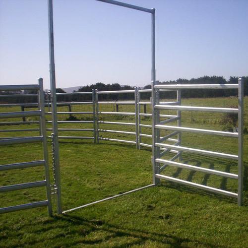 Buy cheap 1.8m Livestock Farm Yard Fence Panels Galvanized Steel 6 Rail Horse Corral Fencing from wholesalers