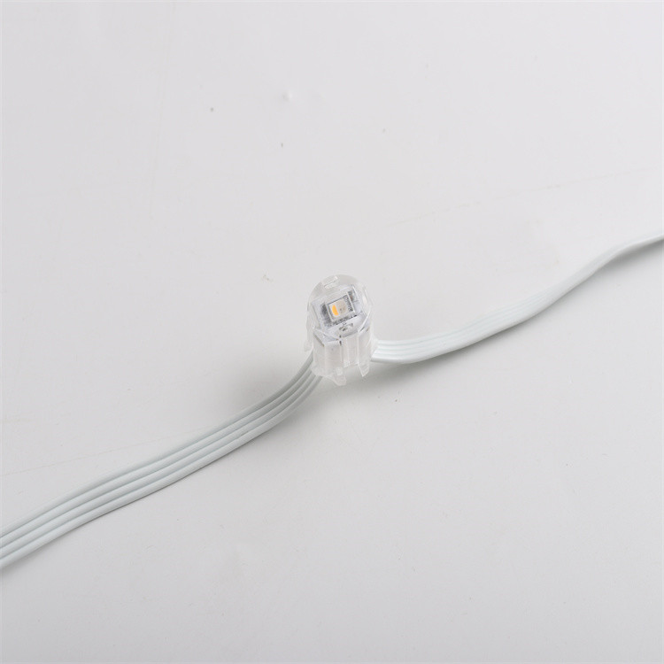 20mm Diameter IP67 RGBW PC Body LED Eave Lights for Christmas Permanent Decoration