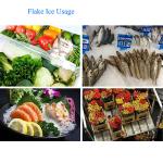 Automatic Fresh Water Flake Ice Machine 50 Tons Direct Cooling