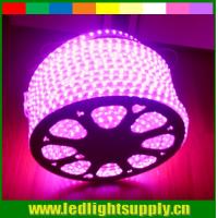 Buy cheap whole sale AC LED 110V strip flexible led ribbon 5050 smd pink 60LED/m strip product