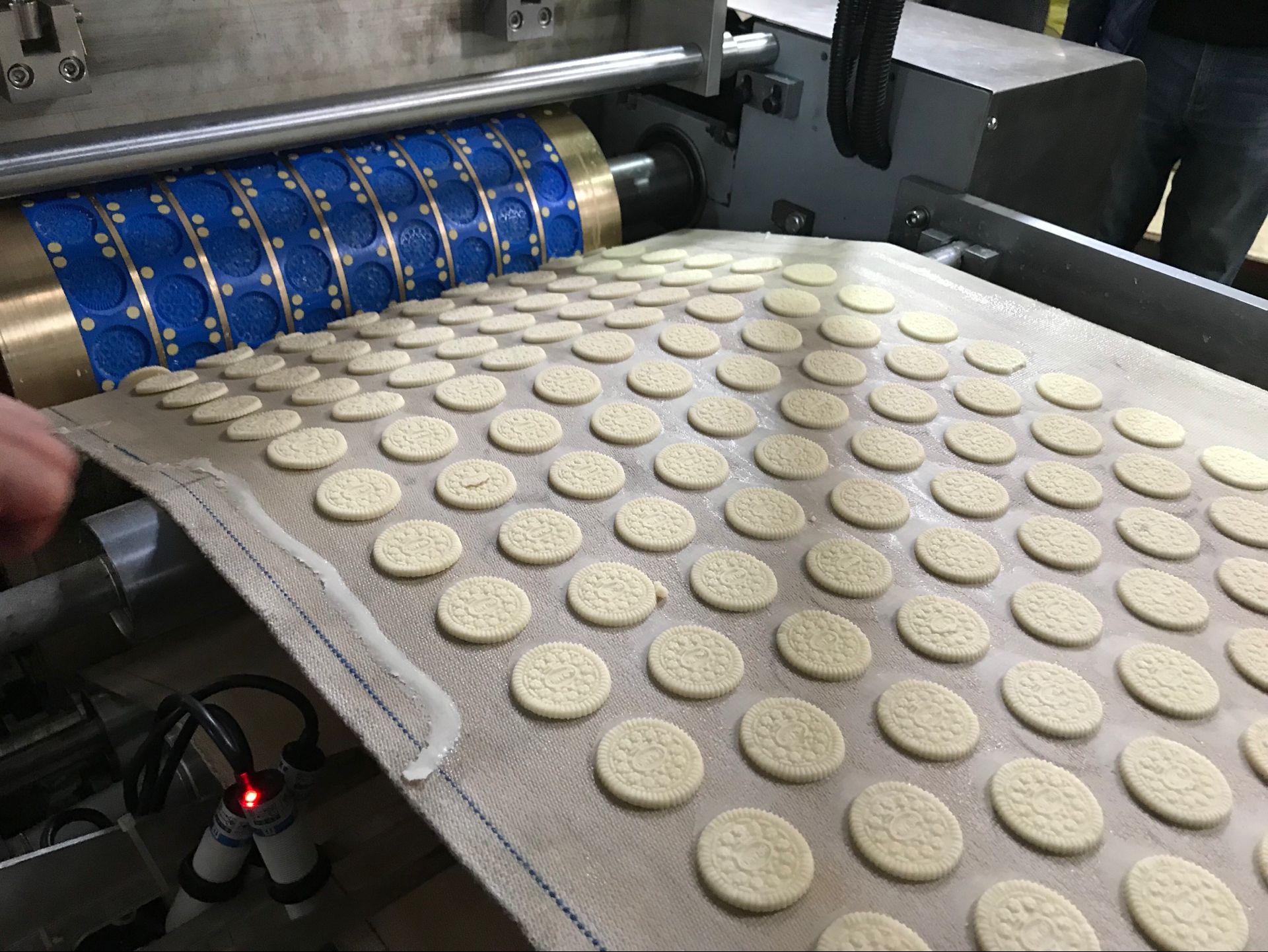 Automatic Soft Biscuit Making Machine Gas Oven Baking Equipment Soft Biscuit Production Line