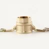 Buy cheap Quick Coupling Series Brass Type D Sand Casting Female BSPP Camlock Fittings from wholesalers