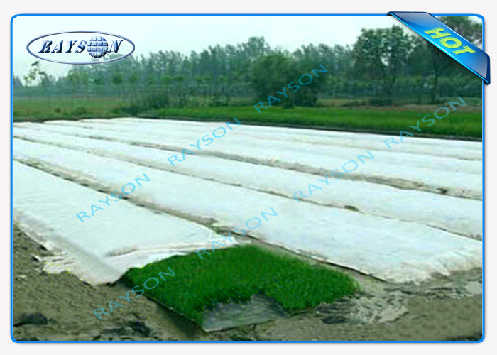 25.6m Wide Transparent Anti-UV Weed-control Mat for Agricultural , White Landscape Fabric