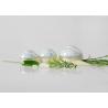 Buy cheap 30G 50G 100G Acrylic Cream Jar plastic cream and lotion jars Luxury Cosmetic Container from wholesalers