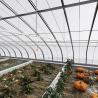 Buy cheap JX-A00162 Innovative Agriculture Arches Tunnel Greenhouse Kit Estimated Delivery Time from wholesalers