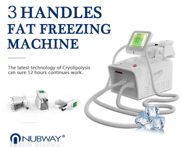 Portable CE FDA approved antifreeze slimming cryo cryolipolysis fat freezing