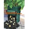 Buy cheap Pockets Pouch Hanging Planter Waterproof, Garden, Patio Plant, Flower, Grow Bags, 8 Pockets, Pouch, Hanging Planter from wholesalers