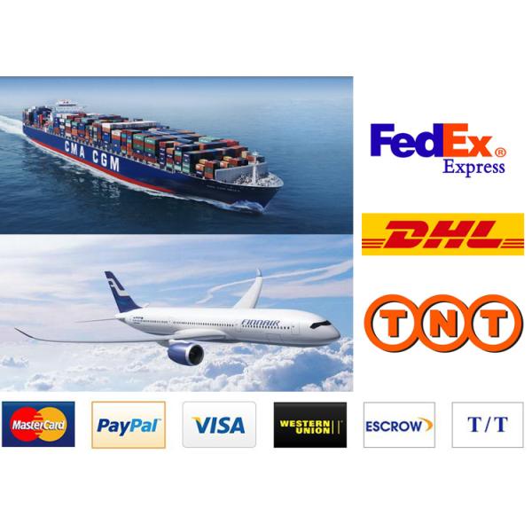 Personalized Engraving Sleeping Dog In My Heart Cremation Urn Necklace For Pet Ashes