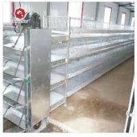 Buy cheap Poultry Farm cages for broiler chicken Breeding / Meat Broiler product