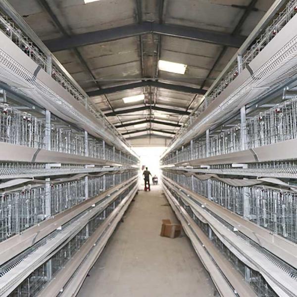 Buy cheap 3 / 4 / 5 Tiers Layer Poultry Farm Cage , Custom Power Battery Hen Cages from wholesalers