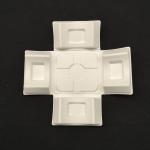 Environmentally friendly white sugarcane bagasse pulp molding with wet pressing
