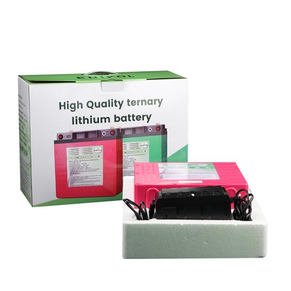 Buy cheap Portable 12V Lithium Battery 30ah 50ah 80ah 100ah Solar Power Battery Pack For Camping from wholesalers