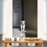 Collapsible Wooden Raised Dog Feeder Anti Skid At Home