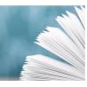 Buy cheap OEM 80G A4 Paper Jumbo Roll Customization Size from wholesalers