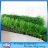 Buy cheap Gardening Occasion SBR Latex Coating Artificial Grass Carpet Turf for Landscaping from wholesalers